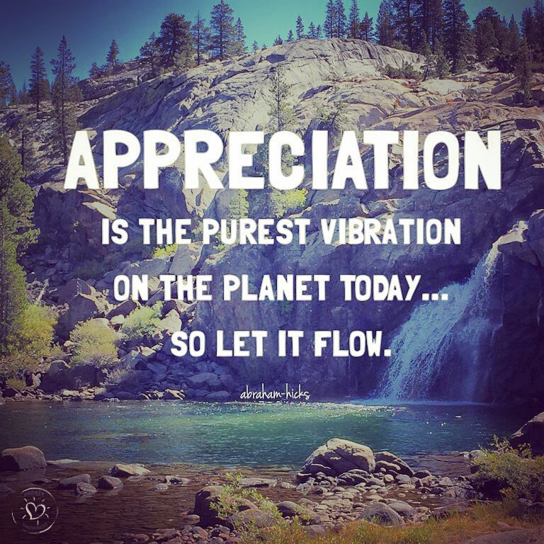 Appreciation is the purest vibration